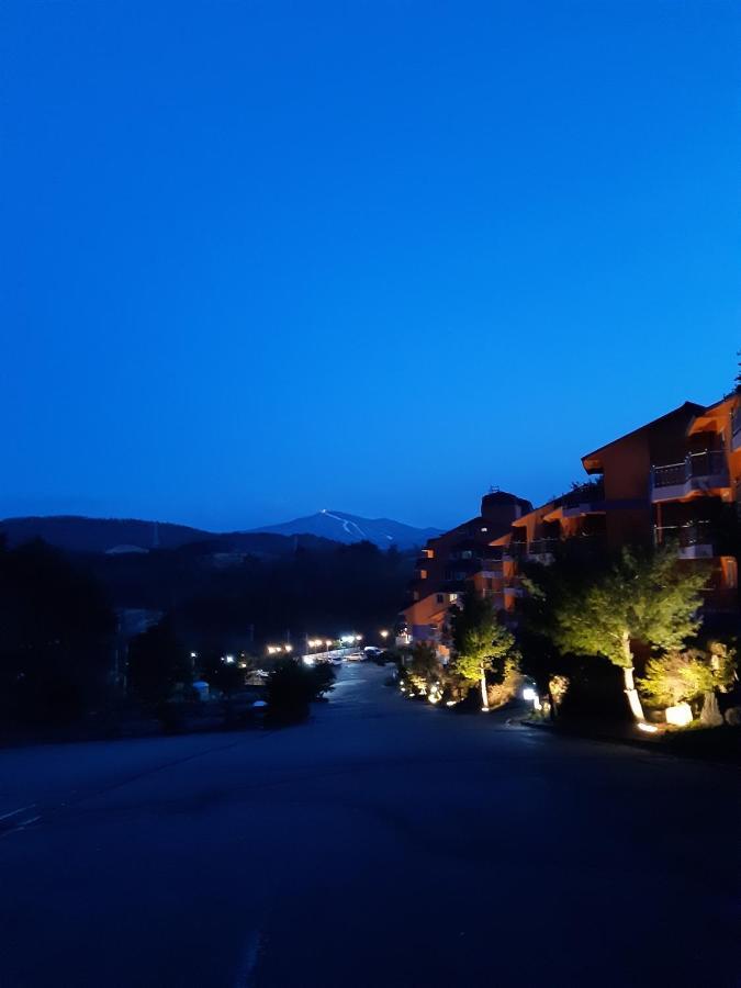 Hyundai Elliot Hotel And Resort Pyeongchang Buitenkant foto